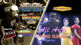 Download CAPING GUNUNG | ALL ARTIS | NEW PALLAPA OFFICIAL | KONSER 2019 MP3