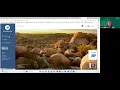 New Narwhals Grades 9-12 How To Log Into Your Student Account