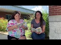 WES Summer Reading - The Lemonade War Ch 6