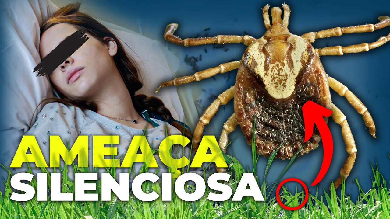 FEBRE MACULOSA: O Real Motivo que Está MATANDO JOVENS