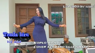 Download TENDA BIRU KOPLO BAJIDOR// VOC DONA LIVE KP PARAKAN DS BOJONGKONENG KBB MP3