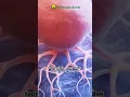 Download Lagu Gejala Kanker Payudara #kankerpayudara #breastcancer #cancer #kanker
