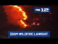 50M awarded to wildfire survivors in Portland