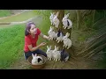 Download Lagu Harvesting 1000 Small Rabbits To Sell At The Market, Garden, Raising Chicken | Emma - Free Bushcraft