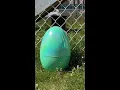 What s in your Easter egg hunt this year