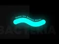 Quick SVG Elastic Line Animation Effects SVG CSS3