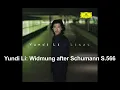 Yundi Li: Widmung after Schumann S.566