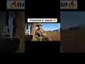 TLHAPI E KGOLO