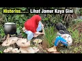 Lagu REZEKI NOMPLOK, Alhamdulillah Mau Ngeliwet di Kebun Nemu Jamur Suum Sampai Histeris