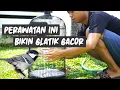 Download Lagu PERAWATAN GLATIK BATU BAHAN AGAR GACOR SETIAP HARI