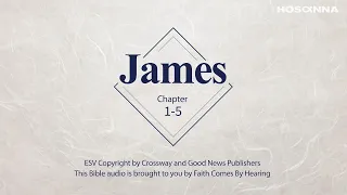 Book of James Bible with text ESV