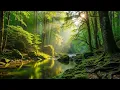 Download Lagu Beautiful Relaxing Music ☘️ Stop Overthinking, Stress Relief Music, Calming Music, Sleep Music