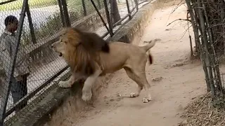 14D Zoo Animals in Indore 🐯🦓