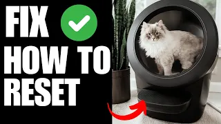 How to Reset Whisker Litter Robot 4