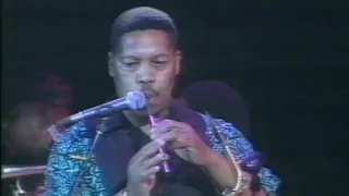 the freddie mercury tribute concert mango groove