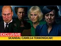 Download Lagu Skandal Mengguncang Istana! Anne Bongkar Penyalahgunaan Warisan Diana oleh Camilla \u0026 Laura!