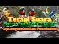 Download Lagu TERAPI SUARA BURUNG, GEMRICIK AIR DAN MUSIK 🎶 || Menghilangkan Stres, Penat dan Lelah Sambil Santai
