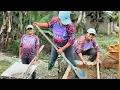 Download Lagu Hoy realice en el patio de mi casa un pequeño HUERTO casero#amazonia #erikaaventura #huertaencasa
