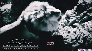 لا تعتمد كثيرا على احد في هاذي الدنيا 