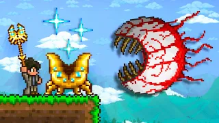 Terraria But It s The Sentry Class
