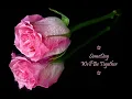 Someday We'll Be Together ☆💕☆ Diana Ross * The Supremes