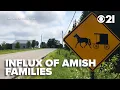 Researchers give insight as to why Amish families are moving westward as population is highest-ever