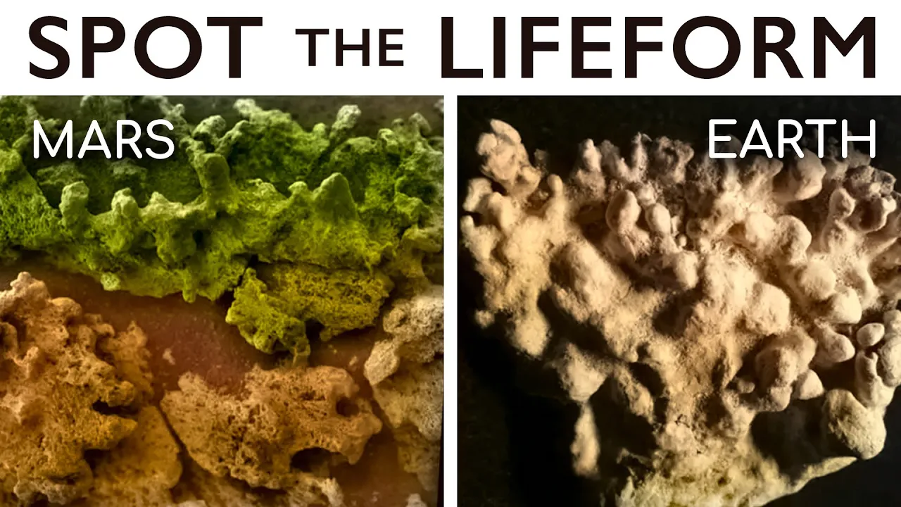 The Suspicious Similarities Between Earth and Mars