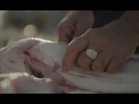 Fato Macaco (Trailer Oficial)