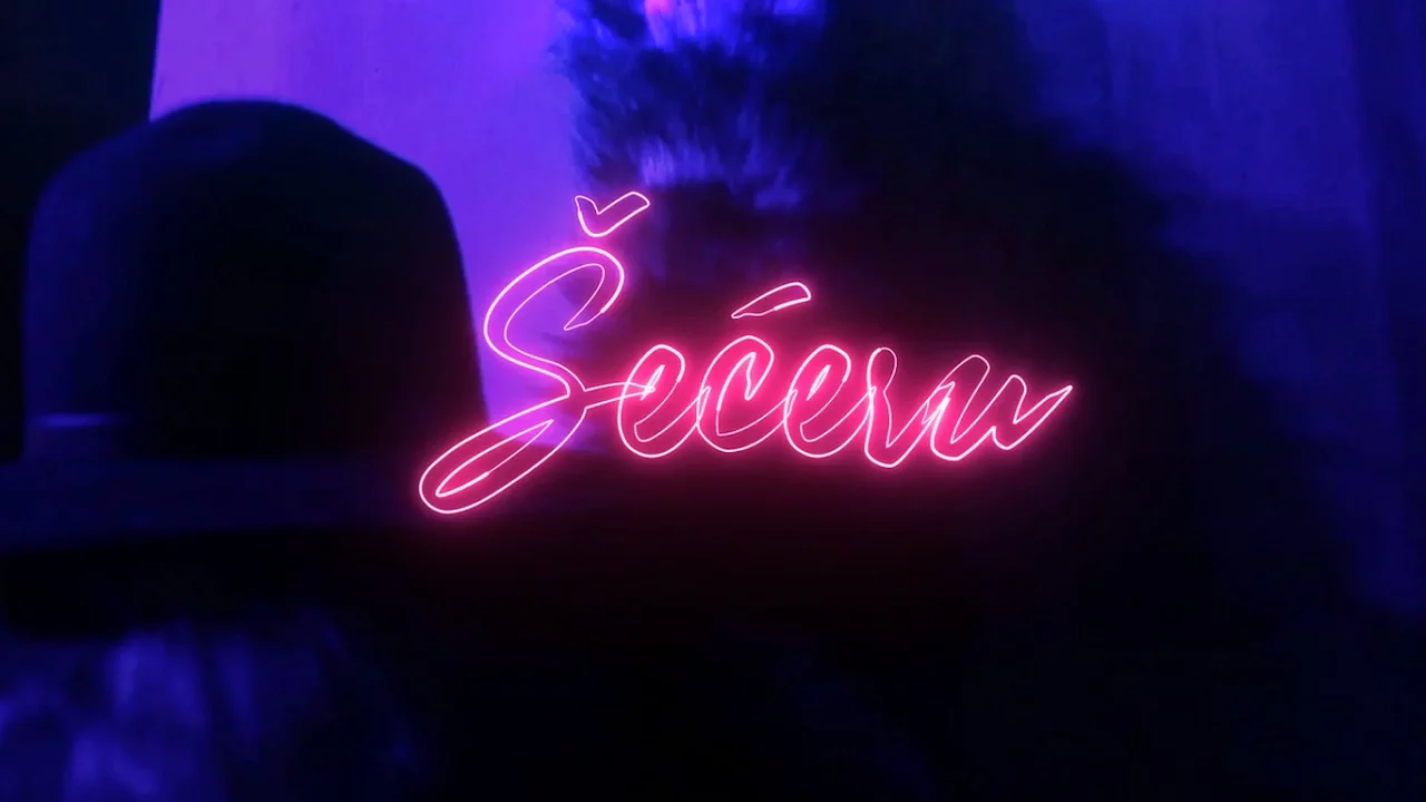 Lana Jurcevic - *ŠEĆERU* - (Lyric video)