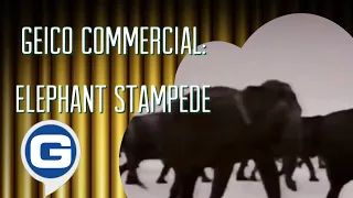 GEICO Direct Commercial - Elephant Stampede