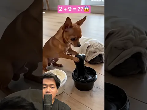 Anjing Memakai Slime Putih & Hitam untuk Prank Temannya Demi Ayam! 🐶✨ ⁉️ - FelinemeowAi