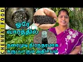 Download Lagu ஒரே வாரத்தில் நரைமுடி நிரந்தரமாக கருப்பாகும் அதிசயம் | Natural Hair Oil | 100% Effective