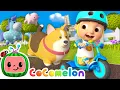 Download Lagu Me \u0026 My Trike | How to Ride a Tricycle! 🚲 | CoComelon Nursery Rhymes \u0026 Kids Songs