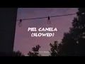 Cuco - Piel Canela (Slowed) | Letra