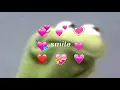 Download Lagu You so fuckin precious when you smile