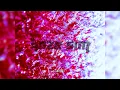 Download Lagu KAZE SIM - KAOS (Original Mix)