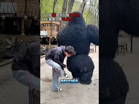 The Most Terrifying Gorilla Prank! 😂🦍