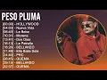 Peso Pluma 2025 MIX Top Hits - HOLLYWOOD, Nueva Vida, La Bebe, Morena