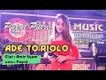 PUPUT ~ Lagu Bugis ADE' TO RIOLO || Live Performance Alink Amusik