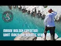 Simple Marine Biology lecture - Adriatic Sea Why it is special