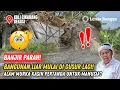 Lagu ALAM MURKA❗BANGLI-BANGLI MULAI DI GUSUR LAGI EXCAVATOR❗BANJIR PARAH KASIH PERTANDA UNTUK MANUSIA❓