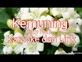 Download Lagu KEMUNING.     ( A .Ryanto)dipopulerkan : Tetty Kadi. Karaoke dan Lirik(lihat Deskripsi)