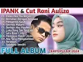 Download Lagu Ipank ft Cut Rani Auliza Pop Melayu Terbaik 2025