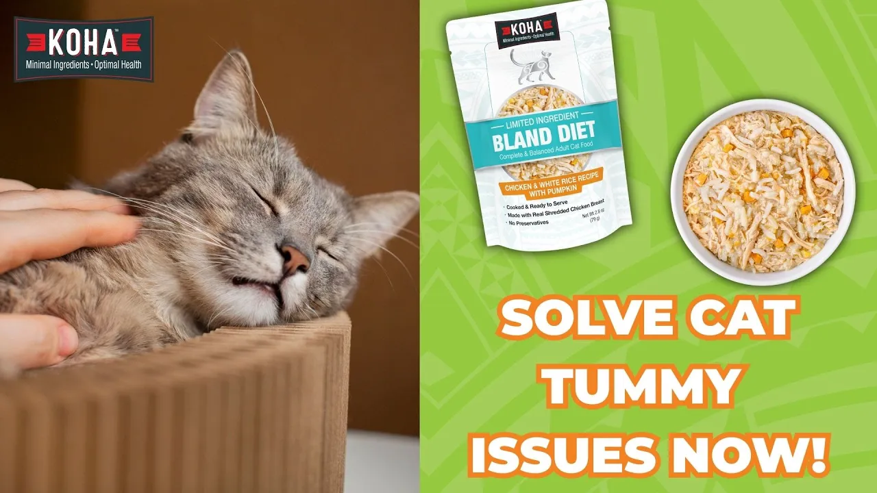 Limited Ingredient Bland Diet Wet Food Chicken & Rice Recipe for Cats