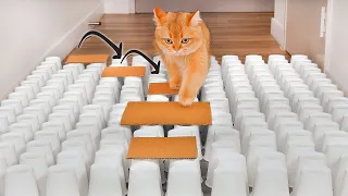 Can Cats Do Parkour? | Compilation