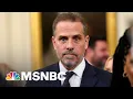 Michael Schmidt Hunter Biden legal issues far smaller and narrower than what Republicans allege