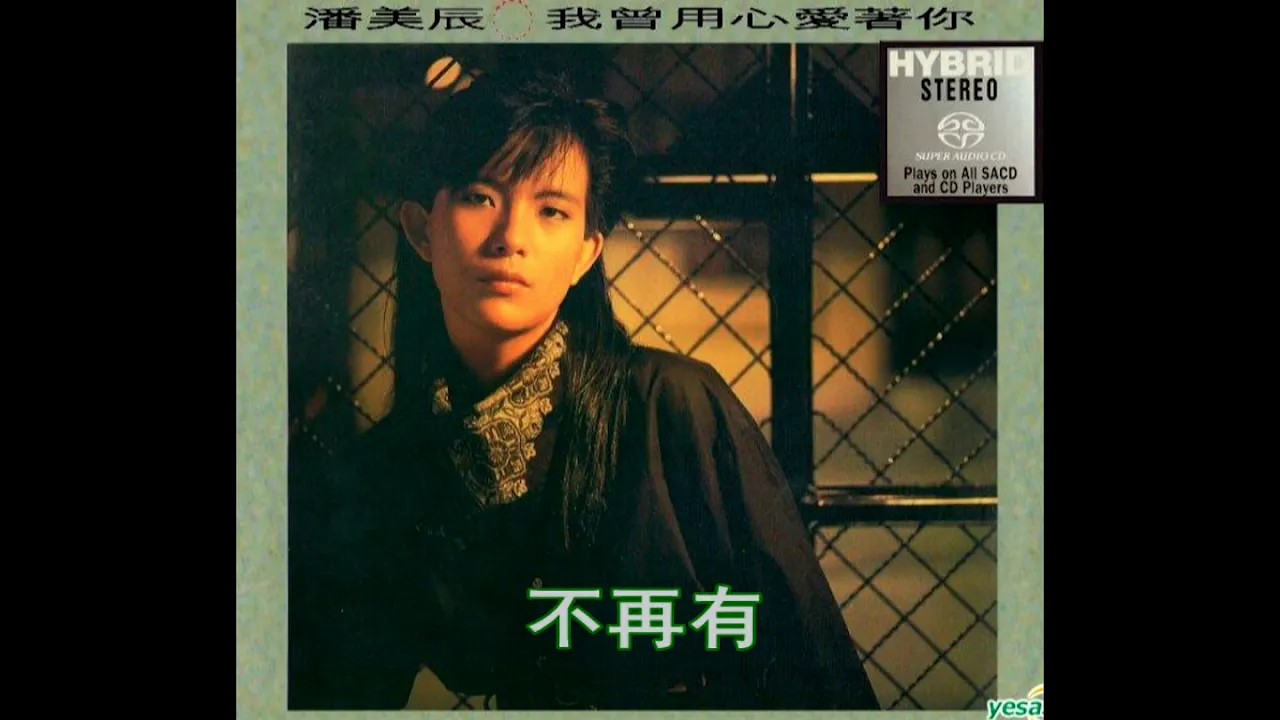 潘美辰 我曾用心愛著你  歌词