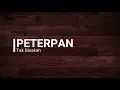 Download Lagu Peterpan  - Tak Bisakah (Karaoke)