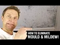 How to Paint over Mould Mildew