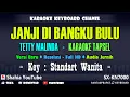 Download Lagu JANJI DI BANGKU BULU KARAOKE TAPSEL TETTY MALINDA